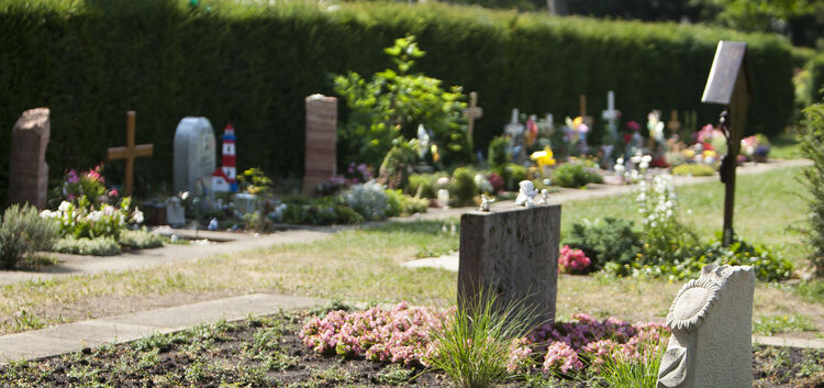 Im Vordergrund ist das Kindergrab auf dem Alten Friedhof in Kirchheim zu sehen, in dem einerseits Kriegsopfer und andererseits t