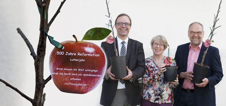 Michael Waldmann, Ingrid Riedl und Eberhard Haußmann (von links) präsentieren einen von 100 Hoffnungsbäumen.Foto: Jean-Luc Jacqu