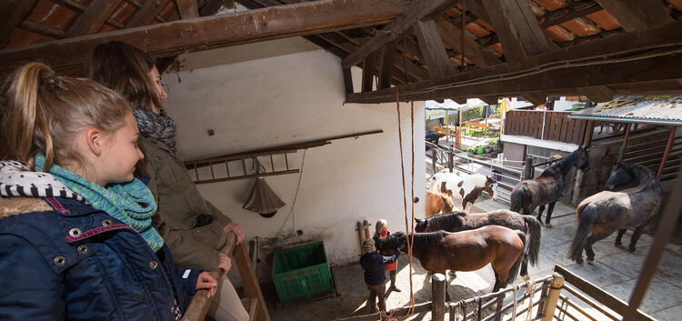 Tatjana Richter (Foto links) gehört eine der 14 Wanderreitstationen im Verein „Mittlere Alb zu Pferde“. Auf ihrem Hof können sic
