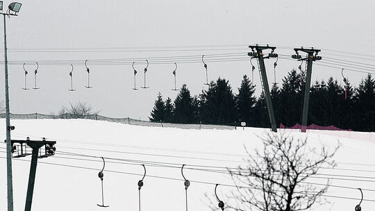 Überleben geht nur mit Flexibilität