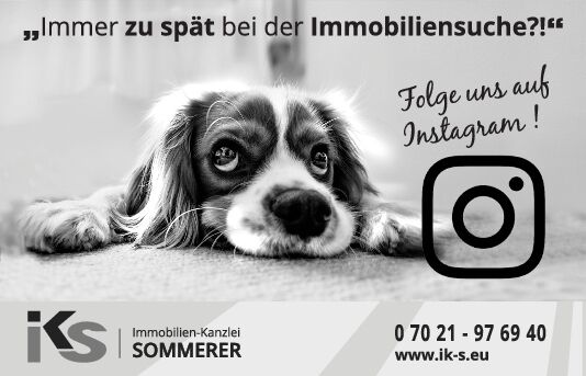 Immer zu spät