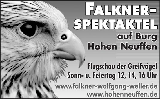 Falkner Spektakel
