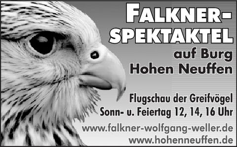 Falkner Spektakel