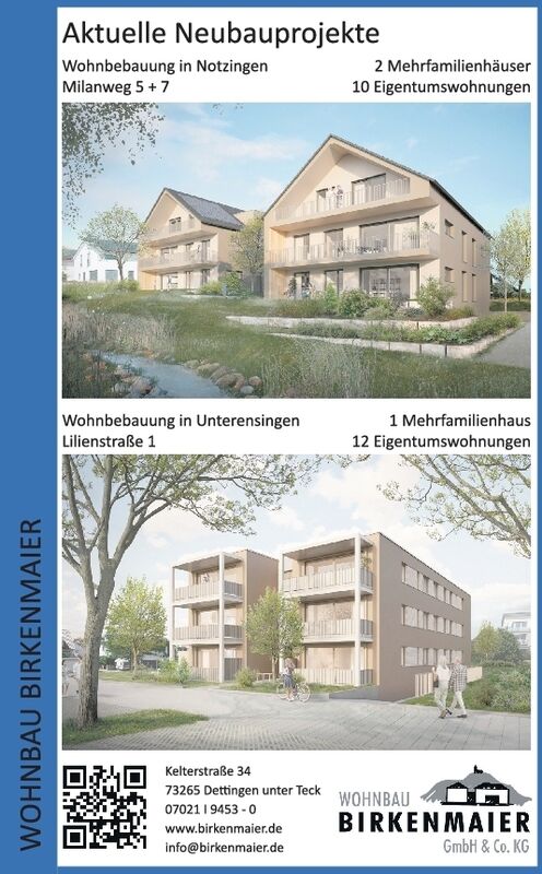 Kollektiv Birkenmaier/Eigenanzeige II