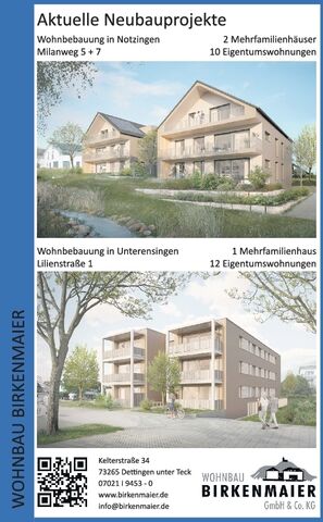 Kollektiv Birkenmaier/Eigenanzeige II