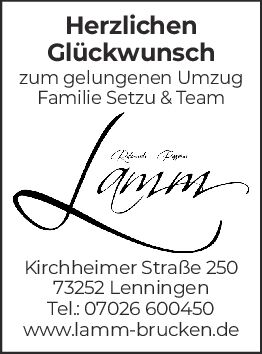B+ Steuerberatung