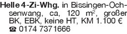 Helle 4-Zi-Whg. in Bissin