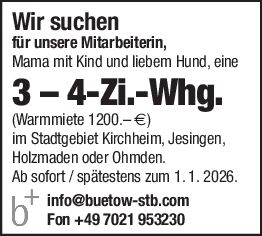 Suchen 2-3 Zi WHG