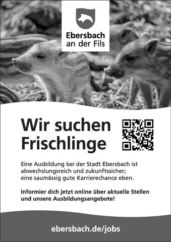 SVÖ Berufsausbildung