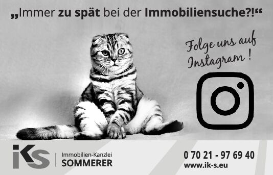 Immer zu spät