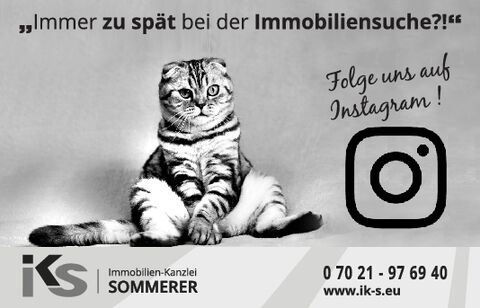 Immer zu spät