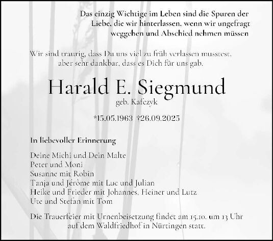 WebAd-Anzeige