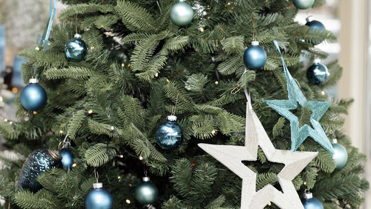 Ein Christbaum im Wohnzimmer ¿ ja oder nein? Das ist hier die Frage.Fotos: Jean-Luc Jacques