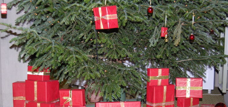 Die Wunschzettel sind geschrieben, die Päckchen liegen schön verpackt unterm Weihnachtsbaum des Kreises im Esslinger Landratsamt