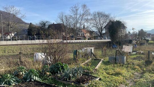 Für solche Kleingartengrundstücke wird künftig deutlich mehr Pacht fällig. Foto: Antje Dörr