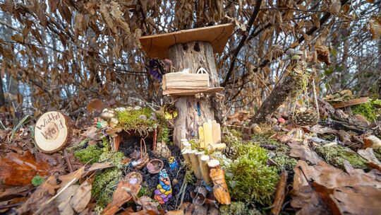 Der Wichtelweg im Ohmdener Bergwald sorgt für Begeisterung. Foto: Carsten Riedl