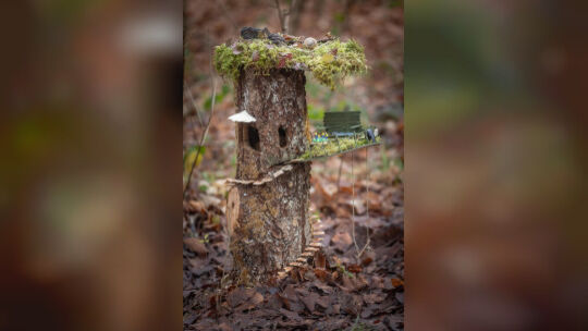 Der Wichtelweg im Ohmdener Bergwald sorgt für Begeisterung. Foto: Carsten Riedl