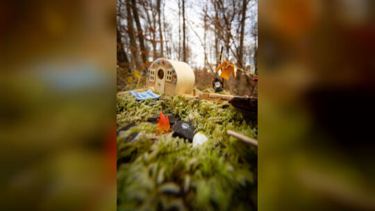 Der Wichtelweg im Ohmdener Bergwald sorgt für Begeisterung. Foto: Carsten Riedl