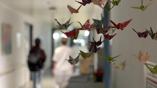 Palliativstation Nürtingen. Symbolfoto: Antje Dörr Palliativstation Nürtingen. Symbolfoto: Antje Dörr