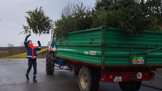Es fand zum (geschätzt) 29. Mal statt: Das Christbaumsammeln und Funkenfest in Holzmaden. Foto: Jule Störk