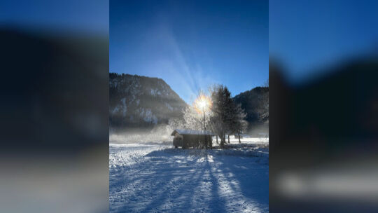 Das Foto von Petra Denzinger zeigt eine sonnige Winterlandschaft.