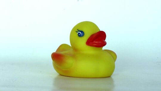 Archivfoto: Jean-Luc Jacques