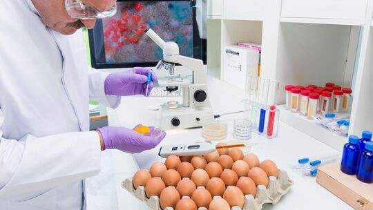 Symbolfoto: Stock Adobe Symbolfoto: Stock Adobe