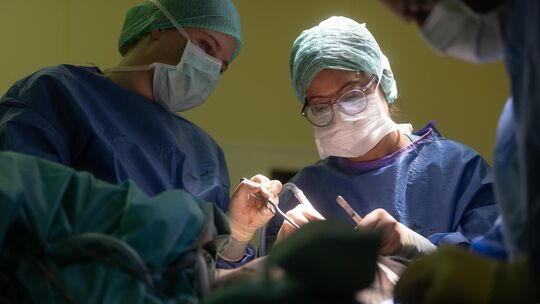 In den Medius-Kliniken arbeiten über 100 Medizinerinnen und Mediziner, die nicht die deutsche Staatsangehörigkeit haben. Archivf In den Medius-Kliniken arbeiten über 100 Medizinerinnen und Mediziner, die nicht die deutsche Staatsangehörigkeit haben. Archivf