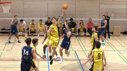 Der VfL will in heimischer Halle am Ball bleiben. Foto: Thimo König