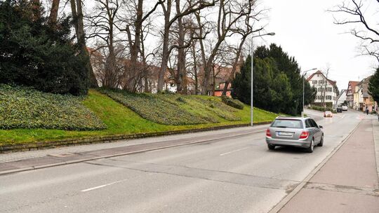 Verkehrsteilnehmer aus Richtung Tiefgarage Schweinemarkt können während der Bauzeit nicht in Richtung westliche Alleenstraße (Te