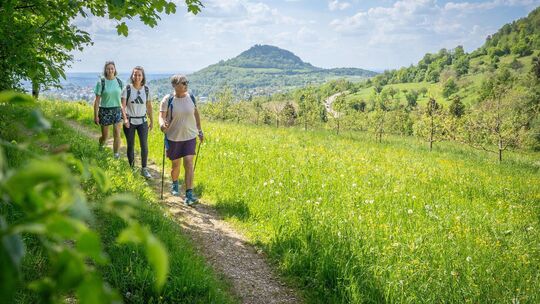Foto: Steffen Steinhäußer