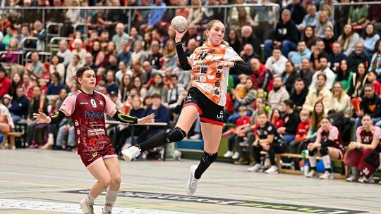 Die Sporlastic-Arena in Nürtingen erfüllt die Auflagen für die 1. Bundesliga nicht. Foto: Markus Brändli