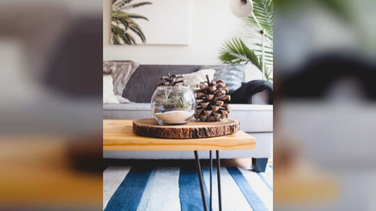 Interior-Detox ist sowohl für die eigenen vier Wände als auch für die Bewohner gesund. Foto: Pixabay