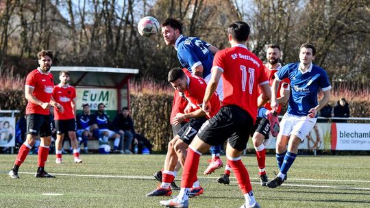 Blau sticht: Der TV Neidlingen kam in Dettingen zu einem überraschend deutlichen 6:2-Erfolg. In der Tabelle bleiben beide Mannsc Blau sticht: Der TV Neidlingen kam in Dettingen zu einem überraschend deutlichen 6:2-Erfolg. In der Tabelle bleiben beide Mannsc