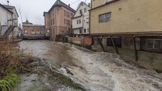 In welchem Zustand ist die Lauter? Die Stadt Kirchheim und das Landratsamt gehen dieser Frage nach. Foto: Carsten Riedl In welchem Zustand ist die Lauter? Die Stadt Kirchheim und das Landratsamt gehen dieser Frage nach. Foto: Carsten Riedl