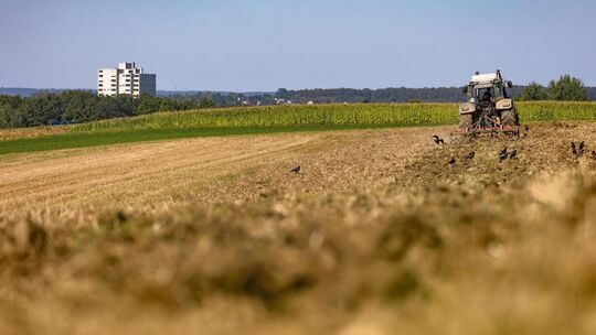 Damit die Landwirte beim Ackern weniger wenden müssen - und somit Zeit und Diesel sparen - sollen Flächen zusammengelegt werden.