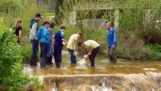 Archivfoto: Martin Gienger