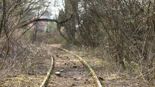 Christian Schürholz und seine Freunde haben ein 155 Meter langes Schienenstück in der Bohnau von Bäumen befreit. Foto: Carsten R