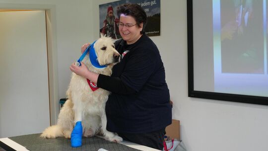 Jutta Ziller zeigt an ihrem Hund Henry, wie ein Verband richtig angelegt wird. Foto: Jule Störk