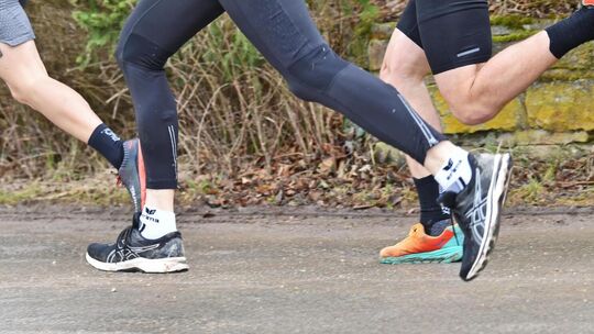 Mittwochs und samstags geht es mit dem Lauftreff eine Stunde lang durch den Wald. Symbolfoto: Markus Brändli