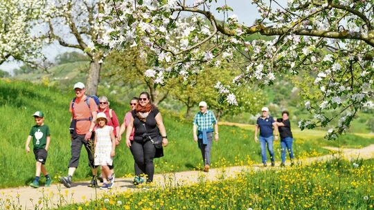 Am Sonntag, 12. April, findet zum mittlerweile 23. Mal der Weilheimer Kirschblütentag statt. Archivfoto: Markus Brändli
