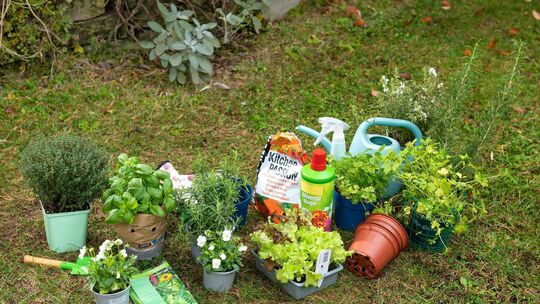 Start in die Pflanzsaison: Wohin mit gebrauchten Pflanztöpfen und Co.? Tipps für die Entsorgung von Gartenabfällen hat die Initi Start in die Pflanzsaison: Wohin mit gebrauchten Pflanztöpfen und Co.? Tipps für die Entsorgung von Gartenabfällen hat die Initi