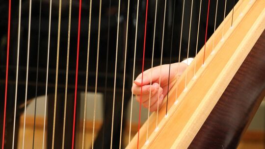 ie Preisträgerinnen und Preisträger werden im Rahmen eines Konzertes am Freitag, 8. Mai, um 17 Uhr im Alten Gemeindehaus zu höre