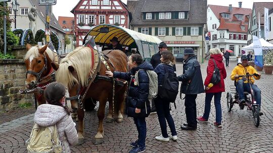 Planwagenfahrt mit Dirk Ernst aus Jesingen. Foto: Sabine Ackermann