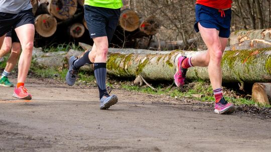 Symbolbild: Tobias Tropper