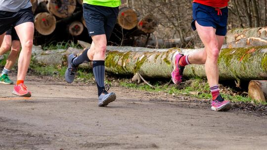 Symbolbild: Tobias Tropper