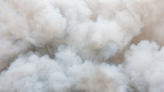 Symbolbild: stock.adobe.com