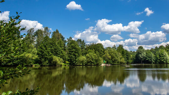 Symbolbild stock.adobe.com