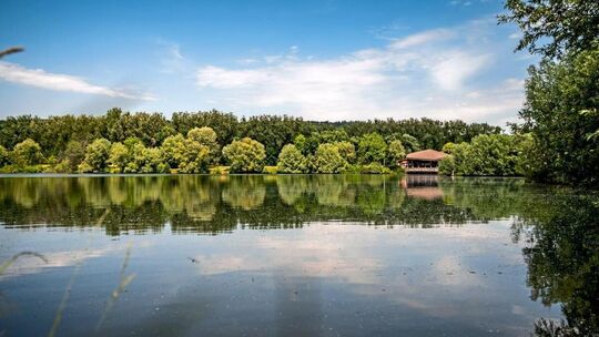 Der Aileswasensee in Neckartailfingen ist einer der Badeseen im Land, dessen Gewässerqualität regelmäßig überprüft wird. Archiv-