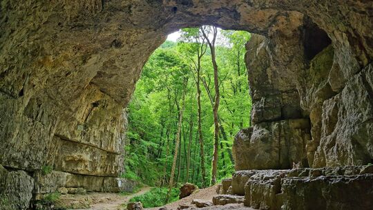 Blick von der Falkensteiner Höhle in Richtung Wald. In der Höhle fand am 1. Mai ein größerer Rettungseinsatz statt. Foto: Stepha